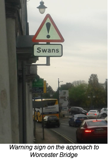 A sign warning of the presence of swans when approaching a bridge